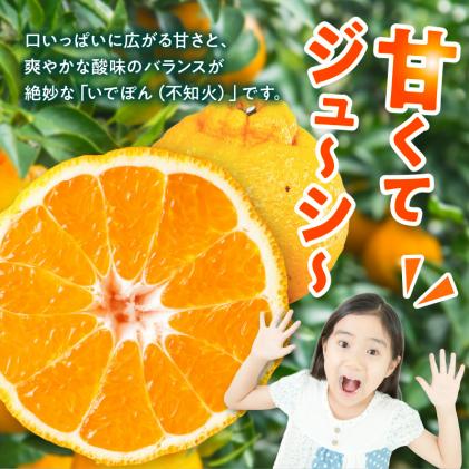 S086-002_井手尾さん家の濃厚いでぽん 不知火 約5kg 柑橘〈先行予約