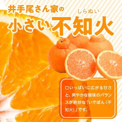 S086-007_訳あり 不知火 約9kg 数量限定〈先行予約〉 / 熊本県天草市