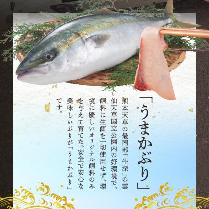 熊本県天草市のふるさと納税 S137-006_【天草育ち】活じめ!うまかぶりたたき2節　約1kg(切るだけ、手間いらず)
