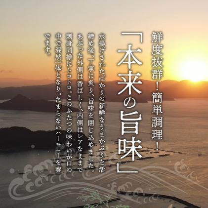 熊本県天草市のふるさと納税 S137-006_【天草育ち】活じめ!うまかぶりたたき2節　約1kg(切るだけ、手間いらず)