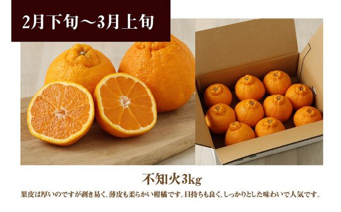 熊本県天草市のふるさと納税 S040-013_【定期便 3回】厳選!天草 下浦地区の農家が愛情込めて育てた柑橘3種〈先行受付〉