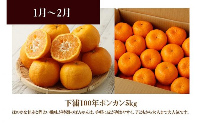 熊本県天草市のふるさと納税 S040-013_【定期便 3回】厳選!天草 下浦地区の農家が愛情込めて育てた柑橘3種〈先行受付〉