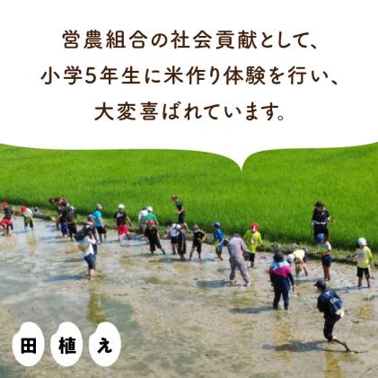 S128-T01_熊本県天草産 早期新米 コシヒカリ5㎏ 定期便 3回