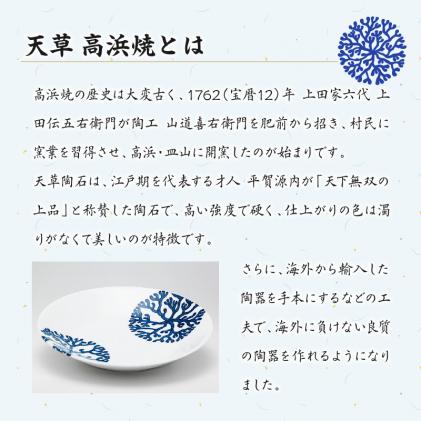 S026-017_高浜焼寿芳窯 平型コーヒーカップ&ソーサ― ペアセット / 熊本