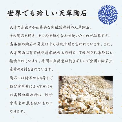 熊本県天草市のふるさと納税 S026-064_天草 高浜焼 楕円カレー皿 2枚(青)