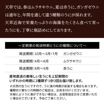 熊本県天草市のふるさと納税 S002-007_【定期便3回】季節ごとに変わる 殻出し生うに 50g×2本 うに用醤油付