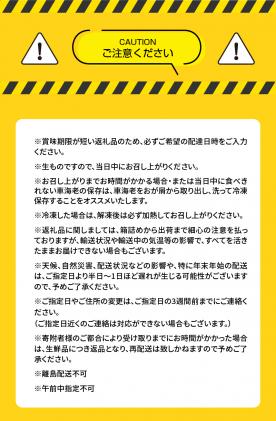 熊本県天草市のふるさと納税 S010-004_活き車海老「やまと車海老」300g〈先行予約〉