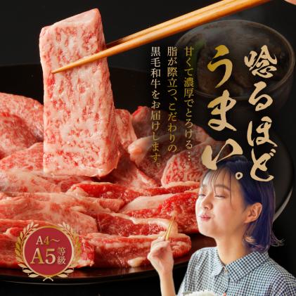 熊本県天草市のふるさと納税 S001-026-T06_【定期便6回】黒毛和牛 焼肉 カルビ ロース 切り落とし 500g A4～A5 6ヵ月連続お届け