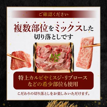 熊本県天草市のふるさと納税 S001-026-T06_【定期便6回】黒毛和牛 焼肉 カルビ ロース 切り落とし 500g A4～A5 6ヵ月連続お届け