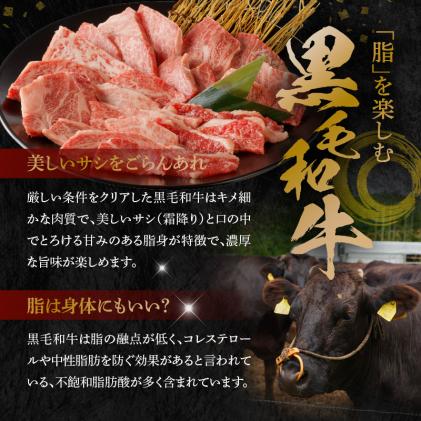 熊本県天草市のふるさと納税 S001-026-T06_【定期便6回】黒毛和牛 焼肉 カルビ ロース 切り落とし 500g A4～A5 6ヵ月連続お届け