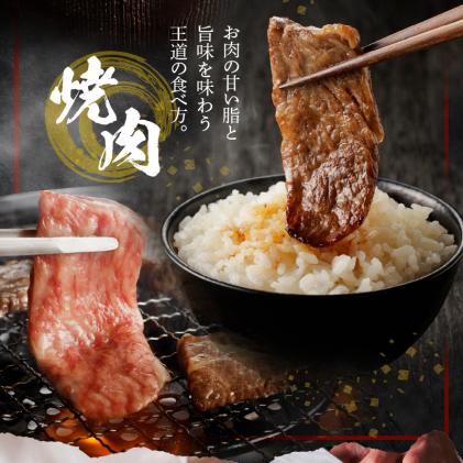 熊本県天草市のふるさと納税 S001-026-T06_【定期便6回】黒毛和牛 焼肉 カルビ ロース 切り落とし 500g A4～A5 6ヵ月連続お届け