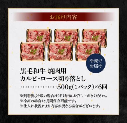 熊本県天草市のふるさと納税 S001-026-T06_【定期便6回】黒毛和牛 焼肉 カルビ ロース 切り落とし 500g A4～A5 6ヵ月連続お届け