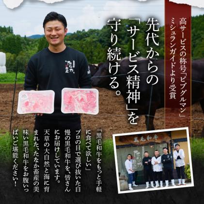 熊本県天草市のふるさと納税 S001-026-T06_【定期便6回】黒毛和牛 焼肉 カルビ ロース 切り落とし 500g A4～A5 6ヵ月連続お届け