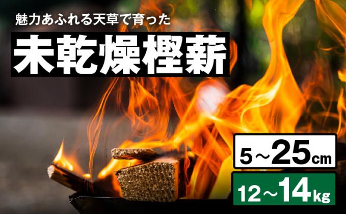 S163-012_魅力あふれる天草で育った未乾燥樫薪(天樫 5cm〜25cmコロ薪 12〜14kg)