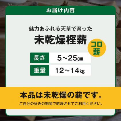 熊本県天草市のふるさと納税 S163-012_魅力あふれる天草で育った未乾燥樫薪(天樫　5cm～25cmコロ薪　12～14kg)