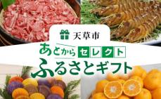 S999-003_あとからセレクト【ふるさ
