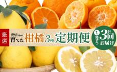 S040-013_【定期便 3回】厳選!天