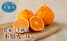 S040-010_農家の手摘み不知火 約3
