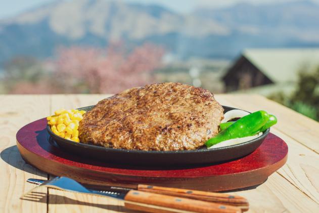 あか牛カルデラハンバーグ☆1ポンド(450g) / 熊本県南阿蘇村 | セゾン