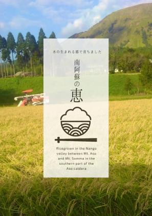 水の生まれる里 大地の恵み米/農家のお任せ2品種・計4kg / 熊本県南