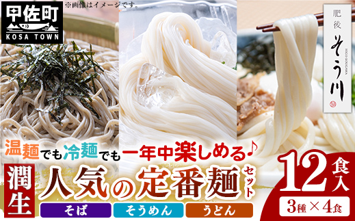 潤生「人気の定番麺」セット12食入り