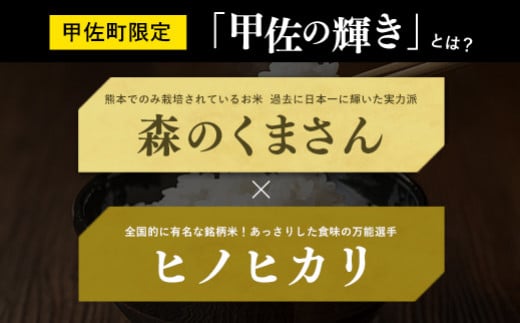 熊本県甲佐町のふるさと納税 令和6年産『甲佐の輝き』無洗米10kg(5kg×2袋)【12月より配送月選択可!】【価格改定ZC】