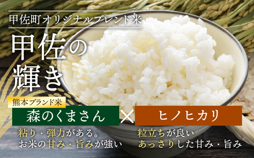 熊本県甲佐町のふるさと納税 【先行受付】新米 令和7年産【定期便6ヶ月】『甲佐の輝き』無洗米16kg×6ヶ月(5kg×2袋、6kg×1袋)【2025年11月より配送月選択可!】 - 国産 白米 無洗米 お米 ブレンド米 複数原料米 訳あり 厳選 マイスター 生活応援 ひのひかり 森のくまさん おすすめ 定期便 熊本県 甲佐町【価格改定ZL】