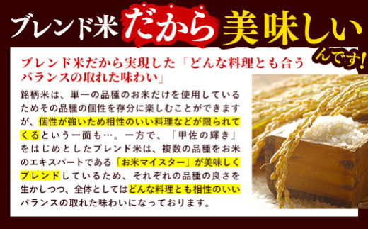 熊本県甲佐町のふるさと納税 【先行受付】新米 令和7年産【定期便6ヶ月】『甲佐の輝き』無洗米16kg×6ヶ月(5kg×2袋、6kg×1袋)【2025年11月より配送月選択可!】 - 国産 白米 無洗米 お米 ブレンド米 複数原料米 訳あり 厳選 マイスター 生活応援 ひのひかり 森のくまさん おすすめ 定期便 熊本県 甲佐町【価格改定ZL】