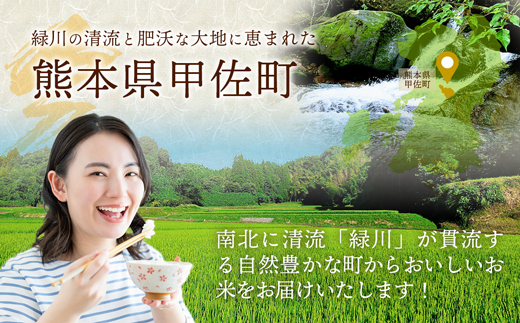 熊本県甲佐町のふるさと納税 【先行受付】新米 令和7年産【定期便6ヶ月】『甲佐の輝き』無洗米16kg×6ヶ月(5kg×2袋、6kg×1袋)【2025年11月より配送月選択可!】 - 国産 白米 無洗米 お米 ブレンド米 複数原料米 訳あり 厳選 マイスター 生活応援 ひのひかり 森のくまさん おすすめ 定期便 熊本県 甲佐町【価格改定ZL】