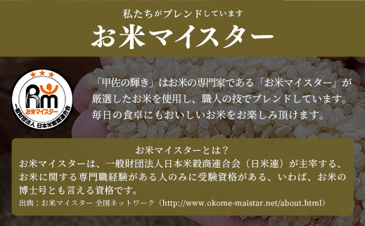 熊本県甲佐町のふるさと納税 【先行受付】新米 令和7年産【定期便6ヶ月】『甲佐の輝き』無洗米16kg×6ヶ月(5kg×2袋、6kg×1袋)【2025年11月より配送月選択可!】 - 国産 白米 無洗米 お米 ブレンド米 複数原料米 訳あり 厳選 マイスター 生活応援 ひのひかり 森のくまさん おすすめ 定期便 熊本県 甲佐町【価格改定ZL】