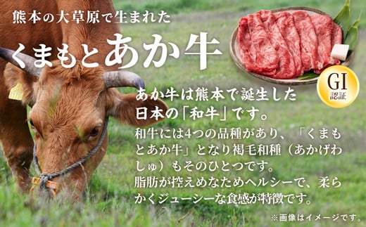 熊本県甲佐町のふるさと納税 【毎月お届け】熊本県産　和牛　くまもとあか牛(GI)　焼肉用　500g【定期便6ヶ月コース】