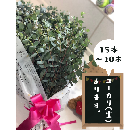 デーツエキス(デーツシロップ)450g×3本 砂糖不使用 デーツ100% 植物