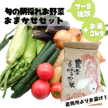 熊本県甲佐町のふるさと納税 旬のお野菜おまかせセット&山出米2kg