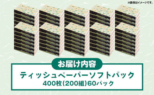 熊本県甲佐町のふるさと納税 ティッシュペーパーソフトパック　400枚(200組)60パック - ソフトパック ティッシュ ペーパー 生活用品 雑貨 日用品 必需品 紙 常備品 まとめ買い 備蓄 防災 ストック 熊本県 甲佐町【ZA】【価格改定】