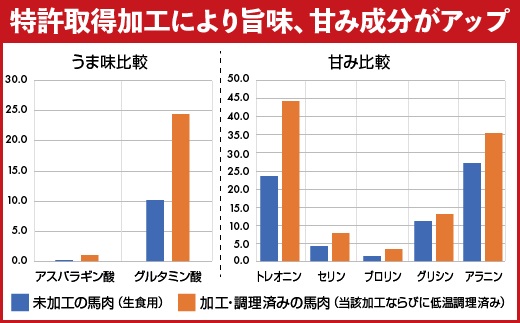 熊本県甲佐町のふるさと納税 馬肉 赤身ブロック 700g【価格改定】XX