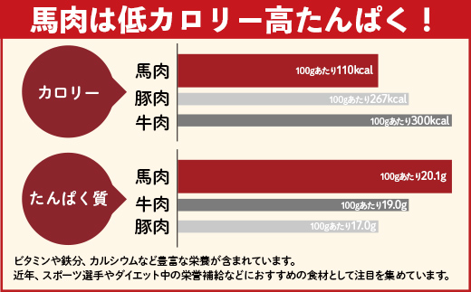 熊本県甲佐町のふるさと納税 馬肉 赤身ブロック 700g【価格改定】XX