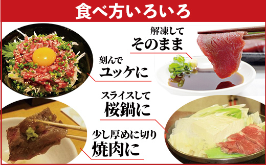 熊本県甲佐町のふるさと納税 馬肉 赤身ブロック 700g【価格改定】XX