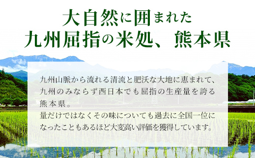 熊本県甲佐町のふるさと納税 令和6年産【定期便3ヶ月】『甲佐の輝き』無洗米16kg×3ヶ月(5kg×2袋、6kg×1袋)【2025年1月より配送月選択可!】【価格改定ZH】