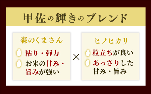 熊本県甲佐町のふるさと納税 令和6年産【定期便3ヶ月】『甲佐の輝き』無洗米16kg×3ヶ月(5kg×2袋、6kg×1袋)【2025年1月より配送月選択可!】【価格改定ZH】