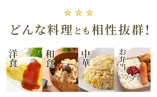 熊本県甲佐町のふるさと納税 令和6年産【定期便3ヶ月】『甲佐の輝き』無洗米16kg×3ヶ月(5kg×2袋、6kg×1袋)【2025年1月より配送月選択可!】【価格改定ZH】