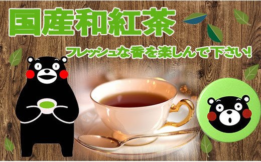 熊本県甲佐町のふるさと納税 緑缶　国産和紅茶ティーパック