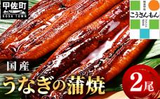 【甲佐ブランド】 うなぎ 蒲焼き 2尾 【こうさんもん認定商品】熊本産 国産 総重量300g以上 - うなぎ 鰻 蒲焼 国産 熊本産 こうさんもん 甲佐ブランド 甲佐町特産 蒲焼き ふっくら 冷凍 熊本県 甲佐町
