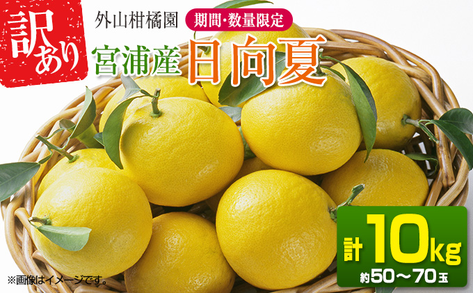 C55 訳あり 期間 数量限定 人気のフルーツ 宮浦産日向夏 計10kg 約50 70玉 宮崎県日南市 セゾンのふるさと納税