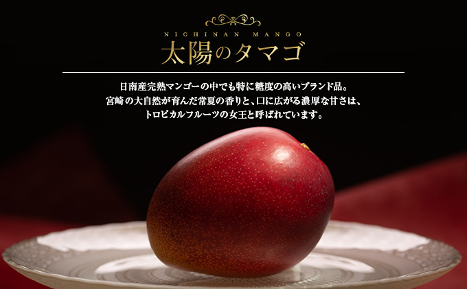 H7 191 超希少 最上級品 完熟マンゴー 太陽のタマゴ 赤秀品 4l 2玉 宮崎県日南市 セゾンのふるさと納税