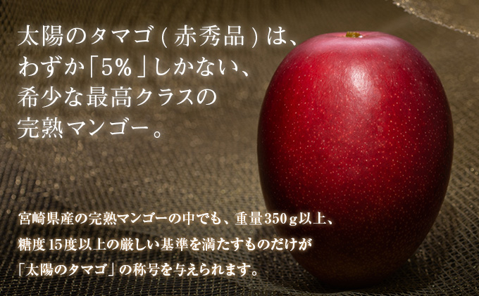 H7 191 超希少 最上級品 完熟マンゴー 太陽のタマゴ 赤秀品 4l 2玉 宮崎県日南市 セゾンのふるさと納税