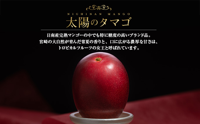 Eb4 191 糖度15度以上 濃厚な甘み 完熟マンゴー 太陽のタマゴ 2 3玉 宮崎県日南市 セゾンのふるさと納税