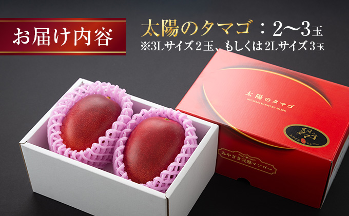 Eb4 191 糖度15度以上 濃厚な甘み 完熟マンゴー 太陽のタマゴ 2 3玉 宮崎県日南市 セゾンのふるさと納税