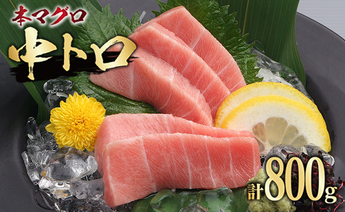 D19 191 鮮度抜群 本マグロ中トロ 計800g 宮崎県日南市 セゾンのふるさと納税