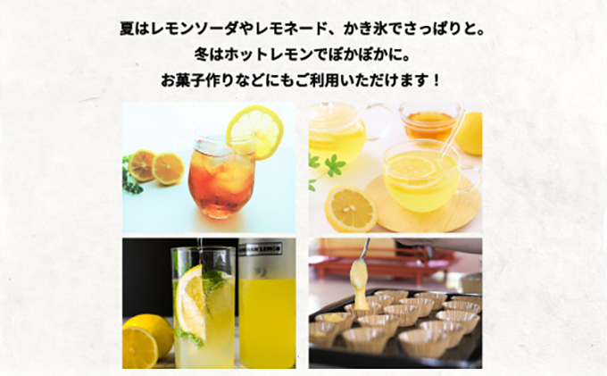 31 1 お中元夏ギフト21 日南レモンシロップ2本セット 500ml 2 宮崎県日南市 セゾンのふるさと納税