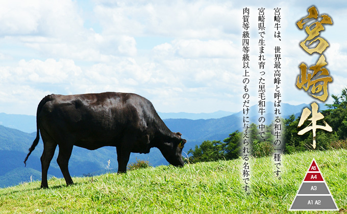 1 肉質等級4等級以上 宮崎牛ミスジステーキ ハンバーグセット 合計1kg 宮崎県日南市 セゾンのふるさと納税